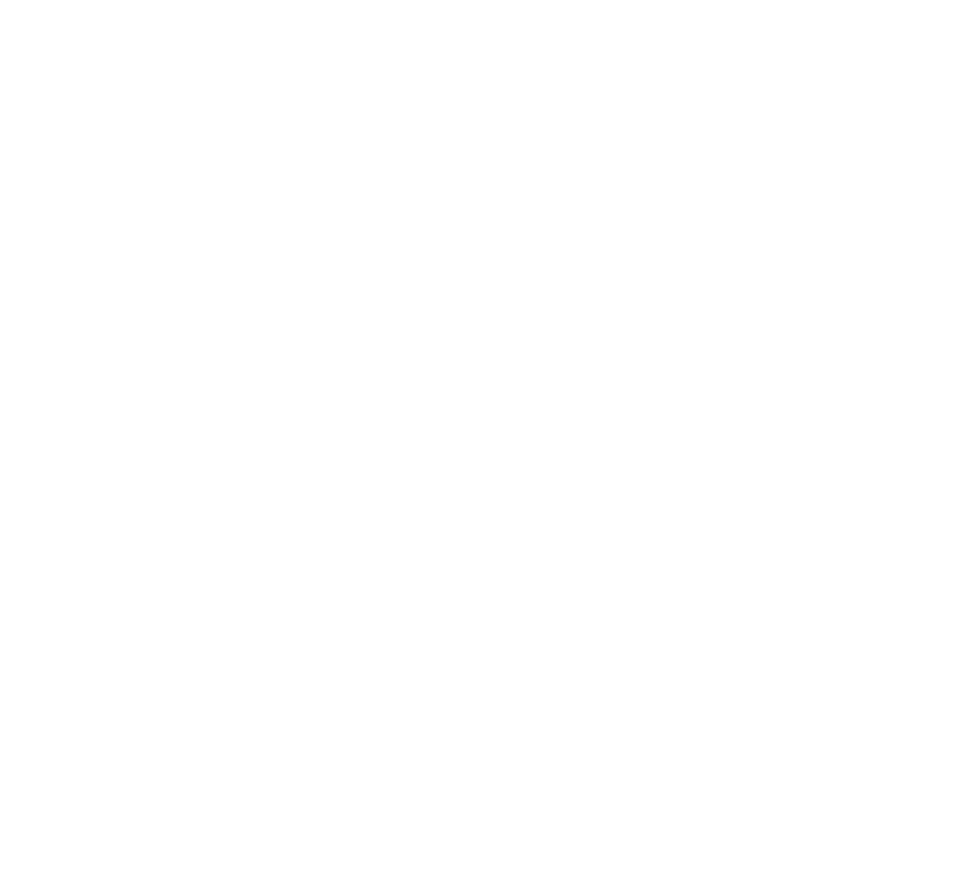 NordVPN logo white